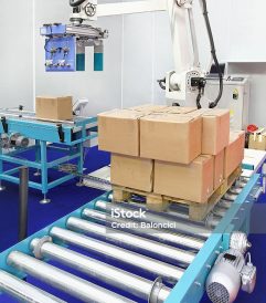 Automated robotic palletizer for boxes at conveyor rollers